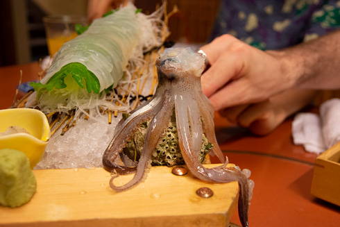 チョーヒカル ゲテモノデート ゲテモノ イカ 日本食