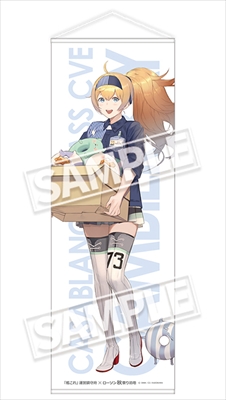 ローソン 艦これ ミニタペストリー