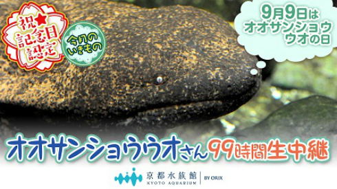 オオサンフェス