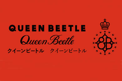 クイーンビートル ジェットフォイル トリマラン