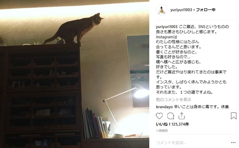 石田ゆり子 ハニオ タビ 休止 はっちみっつ 雪