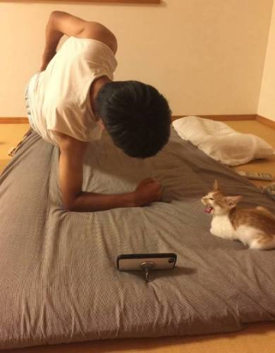 宿題監視するネコ