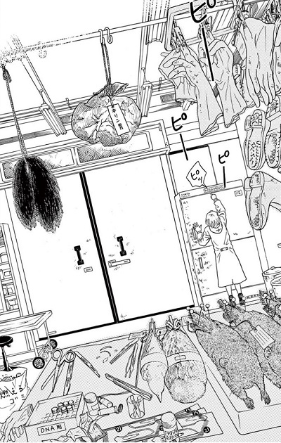 へんなものみっけ 標本づくりの技