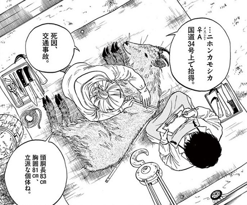 へんなものみっけ 標本づくりの技