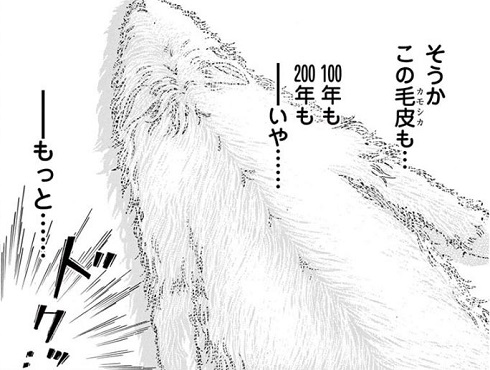 へんなものみっけ 標本づくりの技