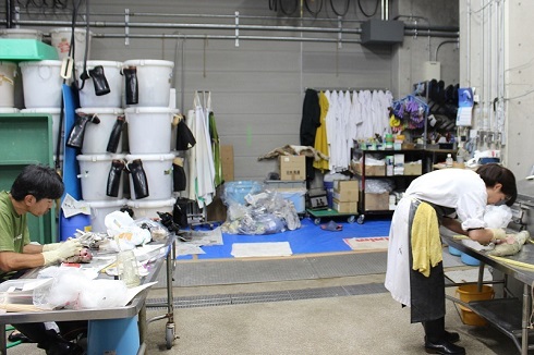 へんなものみっけ 標本づくりの技