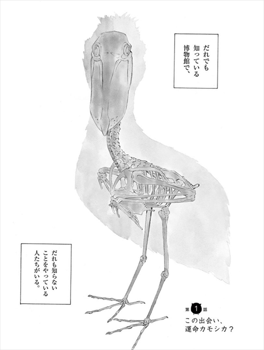 へんなものみっけ