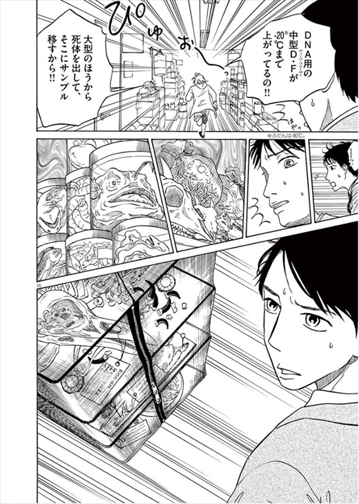 へんなものみっけ