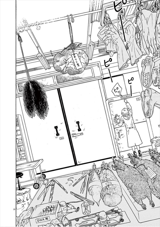 へんなものみっけ