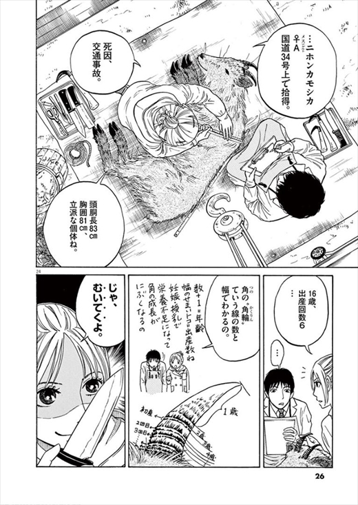 へんなものみっけ