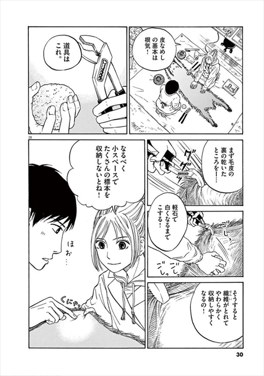 へんなものみっけ