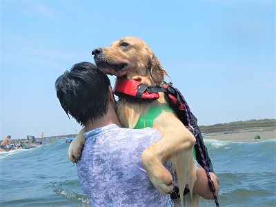 こー君　ドッグサーフィン
