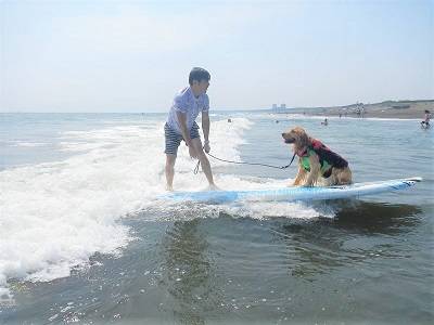 こー君　ドッグサーフィン
