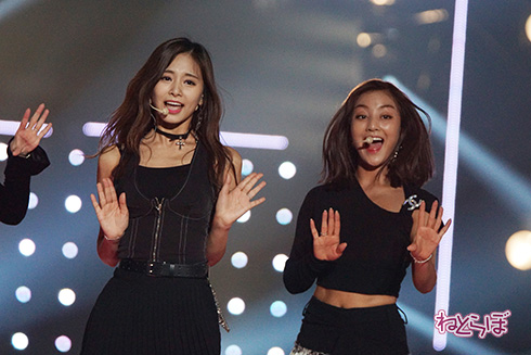 TGC TWICE