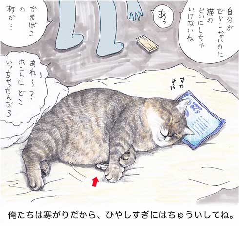 俺、つしま 猫 漫画 おじいちゃん