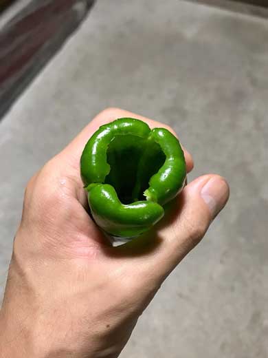 ピーマン 種 とり方 押す 便利