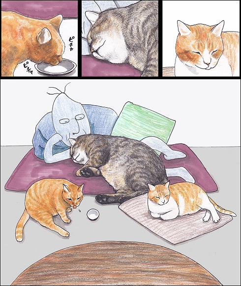 俺、つしま 猫 漫画 おじいちゃん