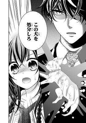 秘密のチャイハロ