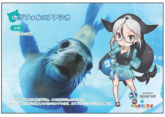 サンシャイン水族館×けものフレンズ