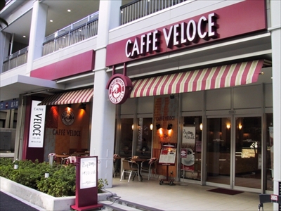 シャノアール・ふちねこ