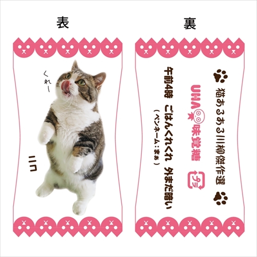 フェリシモ猫部にゃんコレ