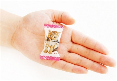 フェリシモ猫部にゃんコレ