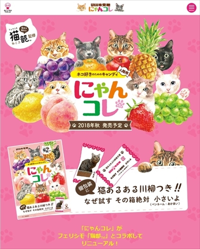 フェリシモ猫部にゃんコレ