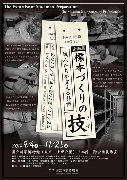 へんなものみっけ 標本づくりの技