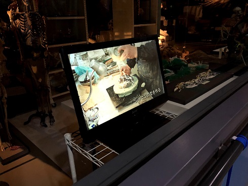 へんなものみっけ 標本づくりの技