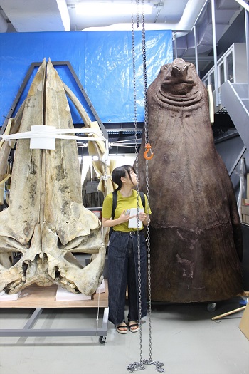 へんなものみっけ 標本づくりの技