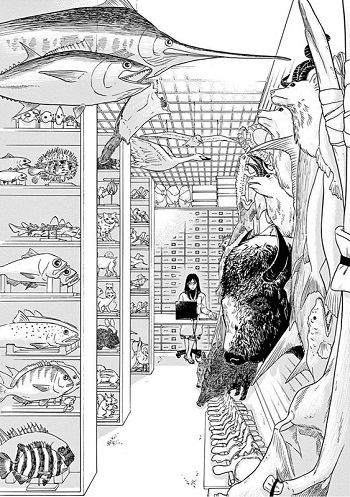 へんなものみっけ 標本づくりの技