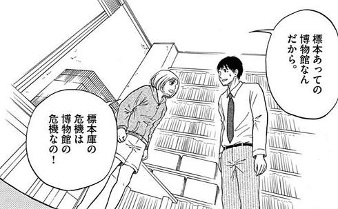 へんなものみっけ 標本づくりの技