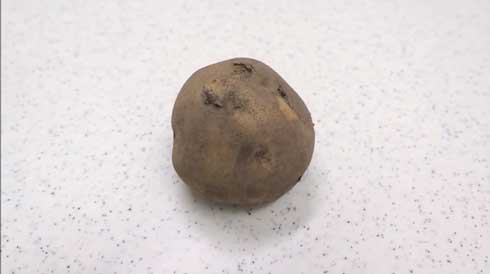 じゃがいも ポテト 作ってみた 包丁 圧倒的不審者の極み!