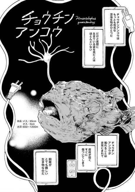 マグメル深海水族館 椙下聖海