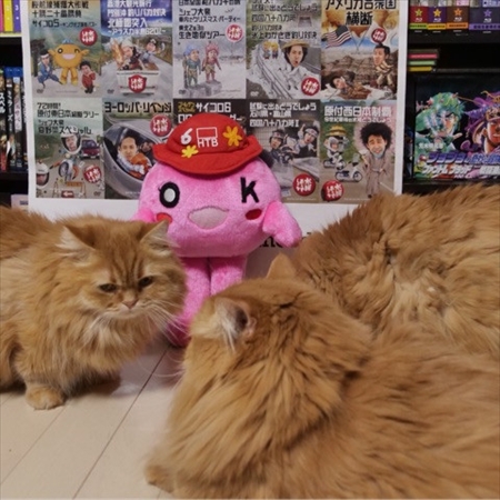 マンチカンズと仲間たち