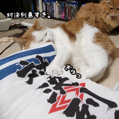 マンチカンズと仲間たち