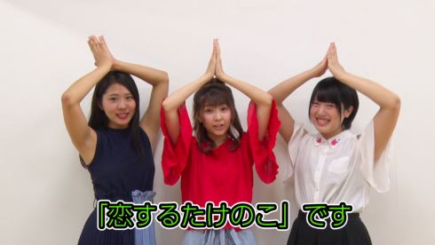 きのこの山 たけのこの里 総選挙