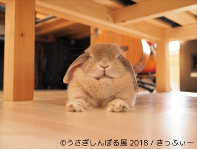 うさぎしんぼる展