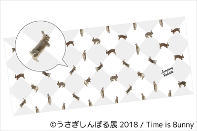 うさぎしんぼる展