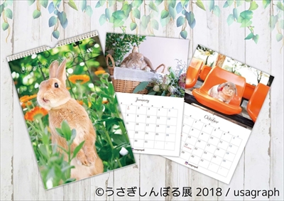 うさぎしんぼる展