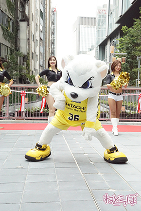 渋谷ストリーム サンディー サンロッカーガールズ