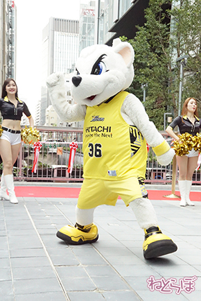 渋谷ストリーム サンディー サンロッカーガールズ