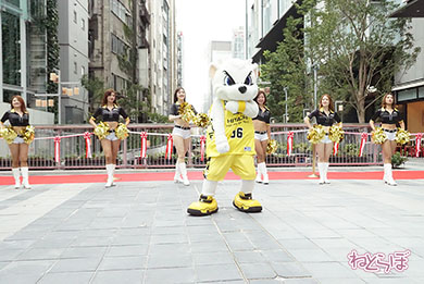 渋谷ストリーム サンディー サンロッカーガールズ