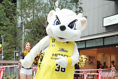 渋谷ストリーム サンディー サンロッカーガールズ