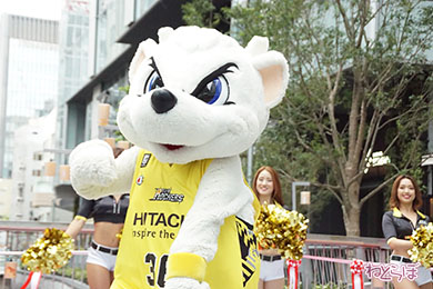 渋谷ストリーム サンディー サンロッカーガールズ