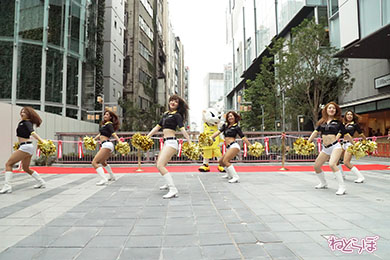 渋谷ストリーム サンディー サンロッカーガールズ