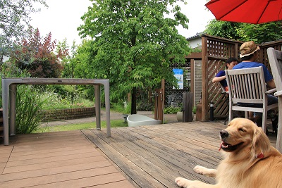 こー君　サーフィン