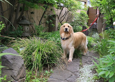 こー君　サーフィン