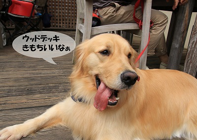 こー君　サーフィン