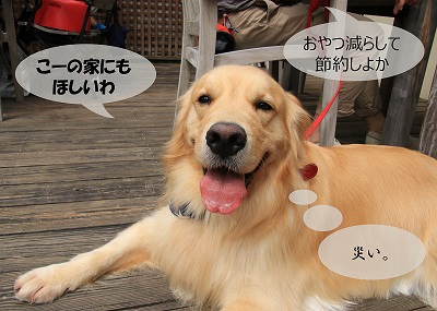 こー君　サーフィン